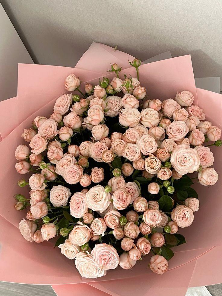 Velvet Petal Waltz: An Elegant Array